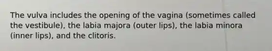 The vulva includes the opening of the vagina (sometimes called the vestibule), the labia majora (outer lips), the labia minora (inner lips), and the clitoris.