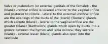 Vulva or pudendum (or external genitals of the female): - the (blank) urethral orifice is located anterior to the vaginal orifice and posterior to clitoris - lateral to the external urethral orifice are the openings of the ducts of the (blank) (Skene's) glands which secrete (blank) - lateral to the vaginal orifice are the greater (blank) (Bartholin's) glands which open by ducts into a groove between the hymen and labia minora; they secrete (blank) - several lesser (blank) glands also open into the vestibule