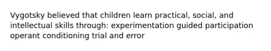 Vygotsky believed that children learn practical, social, and intellectual skills through: experimentation guided participation operant conditioning trial and error