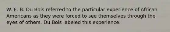 W. E. B. Du Bois referred to the particular experience of African Americans as they were forced to see themselves through the eyes of others. Du Bois labeled this experience: