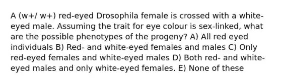 A (w+/ w+) red-eyed Drosophila female is crossed with a white-eyed male. Assuming the trait for eye colour is sex-linked, what are the possible phenotypes of the progeny? A) All red eyed individuals B) Red- and white-eyed females and males C) Only red-eyed females and white-eyed males D) Both red- and white-eyed males and only white-eyed females. E) None of these