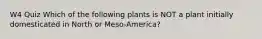 W4 Quiz Which of the following plants is NOT a plant initially domesticated in North or Meso-America?