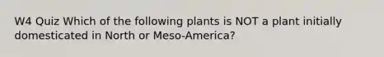 W4 Quiz Which of the following plants is NOT a plant initially domesticated in North or Meso-America?