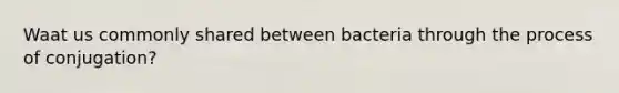 Waat us commonly shared between bacteria through the process of conjugation?