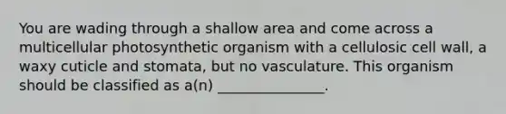 You are wading through a shallow area and come across a multicellular photosynthetic organism with a cellulosic cell wall, a waxy cuticle and stomata, but no vasculature. This organism should be classified as a(n) _______________.