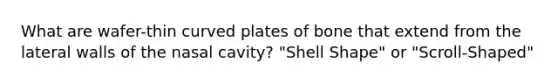 What are wafer-thin curved plates of bone that extend from the lateral walls of the nasal cavity? "Shell Shape" or "Scroll-Shaped"