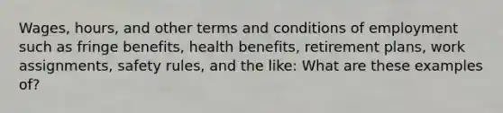 Wages, hours, and other terms and conditions of employment such as fringe benefits, health benefits, retirement plans, work assignments, safety rules, and the like: What are these examples of?