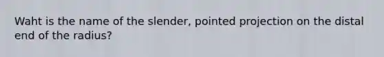 Waht is the name of the slender, pointed projection on the distal end of the radius?