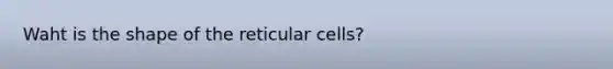 Waht is the shape of the reticular cells?