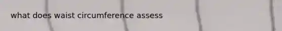 what does waist circumference assess