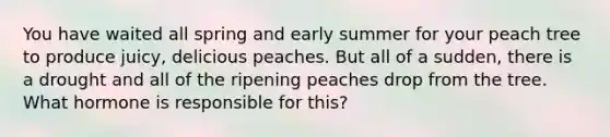 You have waited all spring and early summer for your peach tree to produce juicy, delicious peaches. But all of a sudden, there is a drought and all of the ripening peaches drop from the tree. What hormone is responsible for this?