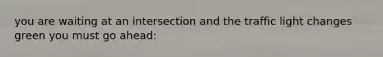 you are waiting at an intersection and the traffic light changes green you must go ahead: