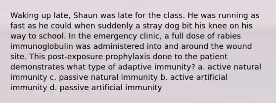 Waking up late, Shaun was late for the class. He was running as fast as he could when suddenly a stray dog bit his knee on his way to school. In the emergency clinic, a full dose of rabies immunoglobulin was administered into and around the wound site. This post-exposure prophylaxis done to the patient demonstrates what type of adaptive immunity? a. active natural immunity c. passive natural immunity b. active artificial immunity d. passive artificial immunity