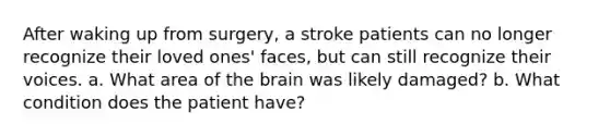 After waking up from surgery, a stroke patients can no longer recognize their loved ones' faces, but can still recognize their voices. a. What area of the brain was likely damaged? b. What condition does the patient have?