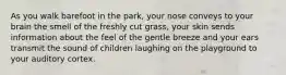 As you walk barefoot in the park, your nose conveys to your brain the smell of the freshly cut grass, your skin sends information about the feel of the gentle breeze and your ears transmit the sound of children laughing on the playground to your auditory cortex.