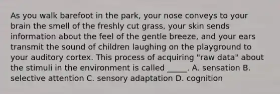 As you walk barefoot in the park, your nose conveys to your brain the smell of the freshly cut grass, your skin sends information about the feel of the gentle breeze, and your ears transmit the sound of children laughing on the playground to your auditory cortex. This process of acquiring "raw data" about the stimuli in the environment is called _____. A. sensation B. selective attention C. sensory adaptation D. cognition