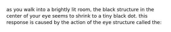 as you walk into a brightly lit room, the black structure in the center of your eye seems to shrink to a tiny black dot. this response is caused by the action of the eye structure called the:
