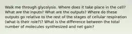 Walk me through glycolysis. Where does it take place in the cell? What are the inputs? What are the outputs? Where do these outputs go relative to the rest of the stages of cellular respiration (what is their role?)? What is the difference between the total number of molecules synthesized and net gain?