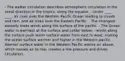 - The walker circulation describes atmospheric circulation in the zonal direction in the tropics, along the equator. - Under ____ ____, air rises over the Western Pacific Ocean leading to clouds and rain, and air sinks over the Eastern Pacific. - The strongest easterly trade winds along the surface of the pacific. - The Ocean water is warmest at the surface and colder below. - winds along the surface push warm surface water from east to west, making the ocean surface warmer and higher in the Western pacific. - Warmer surface water in the Western Pacific warms air above, which causes air to rise, creates a low pressure and drives circulation.