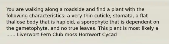 You are walking along a roadside and find a plant with the following characteristics: a very thin cuticle, stomata, a flat thallose body that is haploid, a sporophyte that is dependent on the gametophyte, and no true leaves. This plant is most likely a ...... Liverwort Fern Club moss Hornwort Cycad