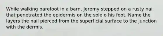 While walking barefoot in a barn, Jeremy stepped on a rusty nail that penetrated <a href='https://www.questionai.com/knowledge/kBFgQMpq6s-the-epidermis' class='anchor-knowledge'>the epidermis</a> on the sole o his foot. Name the layers the nail pierced from the superficial surface to the junction with <a href='https://www.questionai.com/knowledge/kEsXbG6AwS-the-dermis' class='anchor-knowledge'>the dermis</a>.