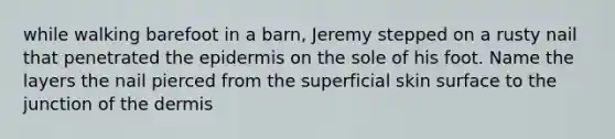 while walking barefoot in a barn, Jeremy stepped on a rusty nail that penetrated the epidermis on the sole of his foot. Name the layers the nail pierced from the superficial skin surface to the junction of the dermis