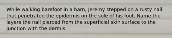 While walking barefoot in a barn, Jeremy stepped on a rusty nail that penetrated the epidermis on the sole of his foot. Name the layers the nail pierced from the superficial skin surface to the junction with the dermis.