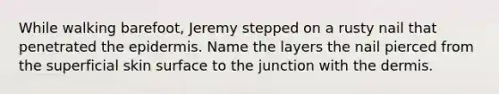 While walking barefoot, Jeremy stepped on a rusty nail that penetrated <a href='https://www.questionai.com/knowledge/kBFgQMpq6s-the-epidermis' class='anchor-knowledge'>the epidermis</a>. Name the layers the nail pierced from the superficial skin surface to the junction with <a href='https://www.questionai.com/knowledge/kEsXbG6AwS-the-dermis' class='anchor-knowledge'>the dermis</a>.