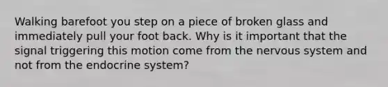 Walking barefoot you step on a piece of broken glass and immediately pull your foot back. Why is it important that the signal triggering this motion come from the nervous system and not from the endocrine system?