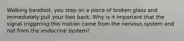 Walking barefoot, you step on a piece of broken glass and immediately pull your foot back. Why is it important that the signal triggering this motion came from the nervous system and not from the endocrine system?