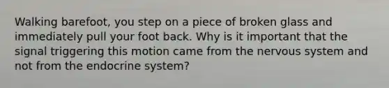 Walking barefoot, you step on a piece of broken glass and immediately pull your foot back. Why is it important that the signal triggering this motion came from the nervous system and not from the endocrine system?