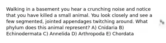 Walking in a basement you hear a crunching noise and notice that you have killed a small animal. You look closely and see a few segmented, jointed appendages twitching around. What phylum does this animal represent? A) Cnidaria B) Echinodermata C) Annelida D) Arthropoda E) Chordata