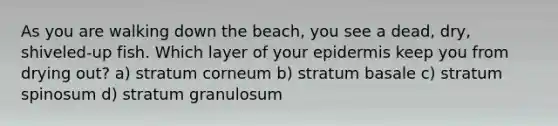 As you are walking down the beach, you see a dead, dry, shiveled-up fish. Which layer of your epidermis keep you from drying out? a) stratum corneum b) stratum basale c) stratum spinosum d) stratum granulosum