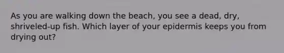 As you are walking down the beach, you see a dead, dry, shriveled-up fish. Which layer of your epidermis keeps you from drying out?