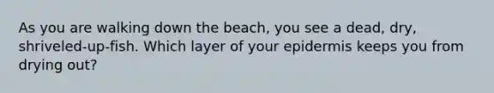 As you are walking down the beach, you see a dead, dry, shriveled-up-fish. Which layer of your epidermis keeps you from drying out?