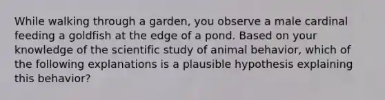 While walking through a garden, you observe a male cardinal feeding a goldfish at the edge of a pond. Based on your knowledge of the scientific study of animal behavior, which of the following explanations is a plausible hypothesis explaining this behavior?