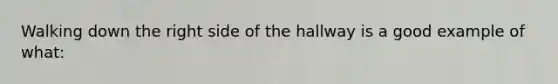 Walking down the right side of the hallway is a good example of what: