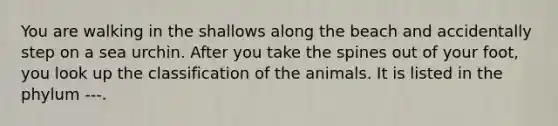 You are walking in the shallows along the beach and accidentally step on a sea urchin. After you take the spines out of your foot, you look up the classification of the animals. It is listed in the phylum ---.