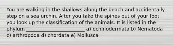 You are walking in the shallows along the beach and accidentally step on a sea urchin. After you take the spines out of your foot, you look up the classification of the animals. It is listed in the phylum ________________________ a) echinodermata b) Nematoda c) arthropoda d) chordata e) Mollusca