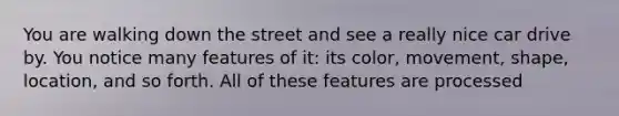 You are walking down the street and see a really nice car drive by. You notice many features of it: its color, movement, shape, location, and so forth. All of these features are processed