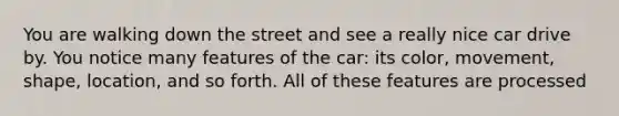 You are walking down the street and see a really nice car drive by. You notice many features of the car: its color, movement, shape, location, and so forth. All of these features are processed