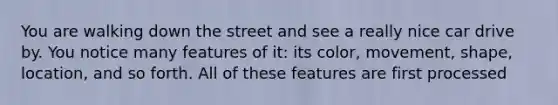 You are walking down the street and see a really nice car drive by. You notice many features of it: its color, movement, shape, location, and so forth. All of these features are first processed