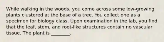 While walking in the woods, you come across some low-growing plants clustered at the base of a tree. You collect one as a specimen for biology class. Upon examination in the lab, you find that the leaf, stem, and root-like structures contain no vascular tissue. The plant is ________.