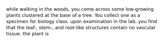 while walking in the woods, you come across some low-growing plants clustered at the base of a tree. You collect one as a specimen for biology class. upon examination in the lab, you find that the leaf-, stem-, and root-like structures contain no <a href='https://www.questionai.com/knowledge/k1HVFq17mo-vascular-tissue' class='anchor-knowledge'>vascular tissue</a>. the plant is