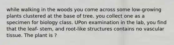 while walking in the woods you come across some low-growing plants clustered at the base of tree. you collect one as a specimen for biology class. UPon examination in the lab, you find that the leaf- stem, and root-like structures contains no vascular tissue. The plant is ?