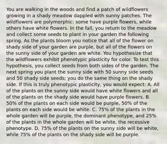 You are walking in the woods and find a patch of wildflowers growing in a shady meadow dappled with sunny patches. The wildflowers are polymorphic: some have purple flowers, while others have white flowers. In the fall, you return to the meadow and collect some seeds to plant in your garden the following spring. As the plants bloom you notice that all of the flower on shady side of your garden are purple, but all of the flowers on the sunny side of your garden are white. You hypothesize that the wildflowers exhibit phenotypic plasticity for color. To test this hypothesis, you collect seeds from both sides of the garden. The next spring you plant the sunny side with 50 sunny side seeds and 50 shady side seeds; you do the same thing on the shady side. If this is truly phenotypic plasticity, you would expect: A. All of the plants on the sunny side would have white flowers and all of the plants on the shady side would have purple flowers. B. 50% of the plants on each side would be purple, 50% of the plants on each side would be white. C. 75% of the plants in the whole garden will be purple, the dominant phenotype, and 25% of the plants in the whole garden will be white, the recessive phenotype. D. 75% of the plants on the sunny side will be white, while 75% of the plants on the shady side will be purple.