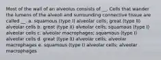 Most of the wall of an alveolus consists of __. Cells that wander the lumens of the alveoli and surrounding connective tissue are called __. a. squamous (type I) alveolar cells; great (type II) alveolar cells b. great (type II) alveolar cells; squamous (type I) alveolar cells c. alveolar macrophages; squamous (type I) alveolar cells d. great (type II) alveolar cells; alveolar macrophages e. squamous (type I) alveolar cells; alveolar macrophages