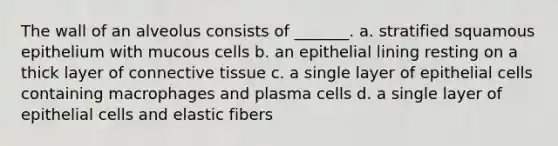 The wall of an alveolus consists of _______. a. stratified squamous epithelium with mucous cells b. an epithelial lining resting on a thick layer of connective tissue c. a single layer of epithelial cells containing macrophages and plasma cells d. a single layer of epithelial cells and elastic fibers