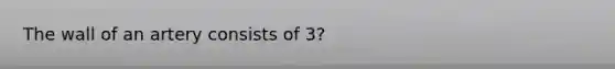 The wall of an artery consists of 3?