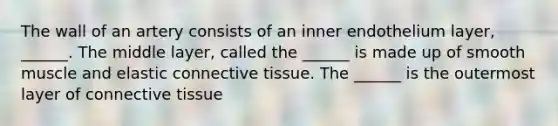 The wall of an artery consists of an inner endothelium layer, ______. The middle layer, called the ______ is made up of smooth muscle and elastic connective tissue. The ______ is the outermost layer of connective tissue